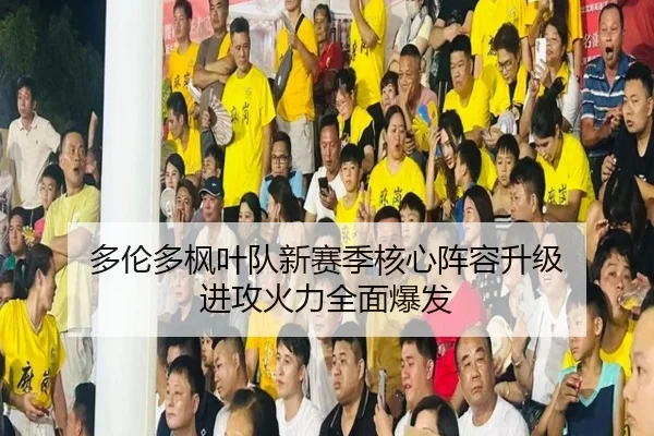 多伦多枫叶队新赛季核心阵容升级 进攻火力全面爆发